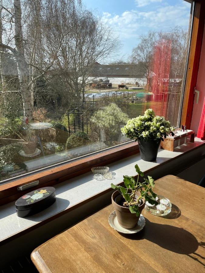 KolindRetro Bolig - Fyldt Med Hygge! Ingen Luksus公寓 外观 照片